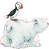 LITTLE POLAR BEAR